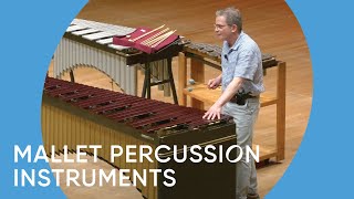 Guide to the Orchestra Mallet Percussion Instruments  Minnesota Orchestra [upl. by Hillier]