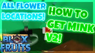 How to get MINK V2 Race in Blox Fruits ALL FLOWERS Location ROBLOX [upl. by Fortunio260]