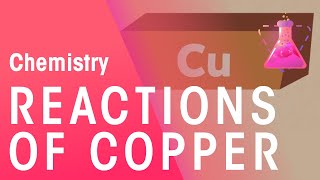 Reactions Of Copper  Reactions  Chemistry  FuseSchool [upl. by Puritan]