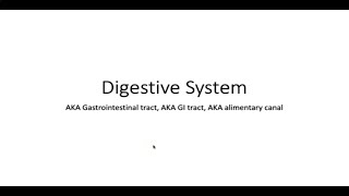 Digestive System VETERINARY ASSISTANT EDUCATION [upl. by Jaymee]