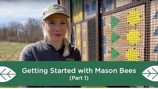 Getting Started with Mason Bees  Part 1 [upl. by Michelina706]