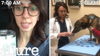 A Veterinarians Entire Routine from Waking Up to Treating Pets  Allure [upl. by Augy]