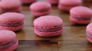 How to Make Macarons  French Macarons Recipe [upl. by Tisbee]