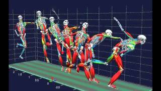 Biomechanical analysis [upl. by Kolosick743]