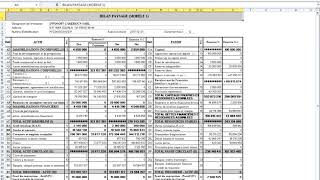 ELABORATION DES ETATS FINANCIERS SYSCOHADA [upl. by Dedric985]