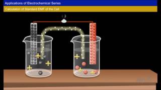 Electrochemical Series and its Applications Year1 [upl. by Durward]