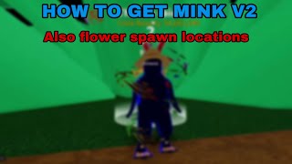 HOW TO GET MINK V2 IN BLOX FRUITS [upl. by Uel]