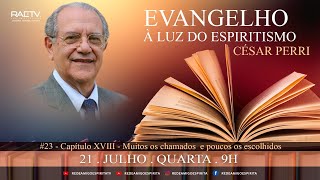 EVANGELHO À LUZ DO ESPIRITISMO 22  Muitos os chamados e poucos os escolhidos  Cesar Perri [upl. by Hcab]