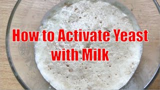 How to Activate Yeast with Milk [upl. by Nepets]