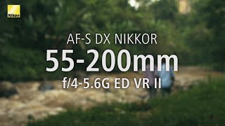 Exploring NIKKOR Lenses Bali with the AFS DX NIKKOR 55200mm f456G ED VR II [upl. by Leaj]