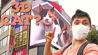 How the Giant 3D Cat Display Billboard Looks From Different Angles  Shinjuku Streetview [upl. by Ayot246]