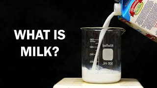 What is Milk made of [upl. by Minton]