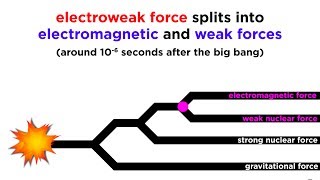 Quantum Gravity and Gravitons The Search for a Theory of Everything [upl. by Arob394]