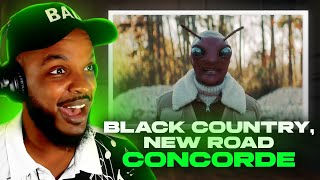 🎵 Black Country New Road  Concorde REACTION [upl. by Akeihsat138]