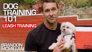 Dog Training 101 Leash Training  Brandon McMillan [upl. by Anika]