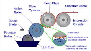 Flexography  Basic Introduction [upl. by Synn]