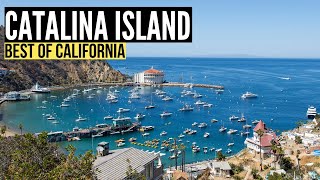 Things To Do in CATALINA ISLAND California Travel Guide amp Vlog [upl. by Yancey]