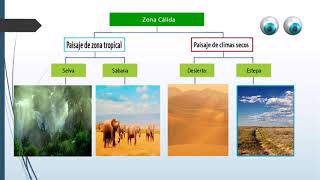 zonas climáticas de la Tierra [upl. by Grady904]