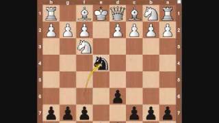 Chess Openings Petrov Defense [upl. by Uile]