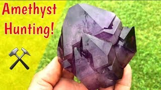 Hunting Amethyst Gemstones in South Carolina [upl. by Gnouhc699]