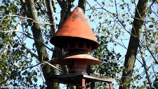 HOR SiroDrone  Alert  Toledo OH Lucas County Tornado Siren Test  10220 [upl. by Johnny]