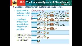 171 Linnaean system of classification [upl. by Annonyw]