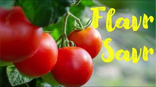 Flavr Savr tomato Anti sense RNA technology [upl. by Paulo970]