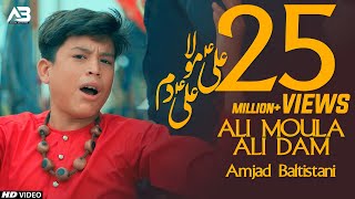 ALI MOLA ALI DAM DAM  AMJAD BALTISTANI  Official Video  TNA RECORDS [upl. by Yliah882]