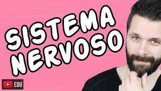 SISTEMA NERVOSO  FISIOLOGIA  Aula  Biologia com Samuel Cunha [upl. by Ahsem268]