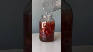 MAKING HOMEMADE STRAWBERRY WINE [upl. by Sisco]