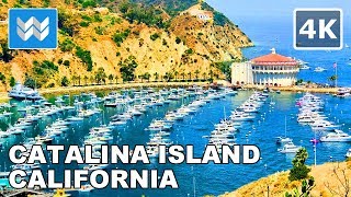 Walking Tour of Catalina Islands Avalon Town amp Harbor in California USA 🎧 Tips amp Travel Guide【4K】 [upl. by Aicatsan455]