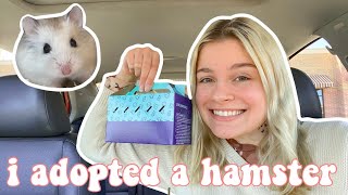 i adopted a hamster  getting my robo dwarf hamster vlog [upl. by Eiryk462]