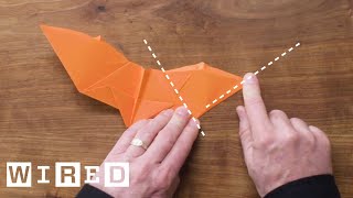 How to Fold Five Incredible Paper Airplanes  WIRED [upl. by Anirroc757]