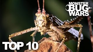 TOP 10 BUG FIGHTS  MONSTER BUG WARS [upl. by Keese163]