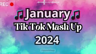 TikTok Mashup 2024 🎵 [upl. by Aidni]