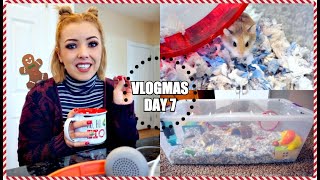 I GOT A NEW HAMSTER  Meet my new Roborovski Hamster  Vlogmas [upl. by Saleem]