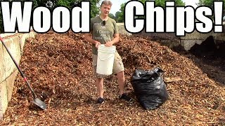 How amp Why I Use Wood Chip Mulch in the Garden [upl. by Edna]