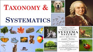 Taxonomy  Systematics  Carolus Linnaeus  Part 1 [upl. by Ivan]