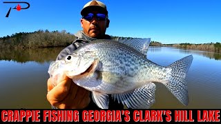 Clarks Hill Crappie Fishing [upl. by Kristian]