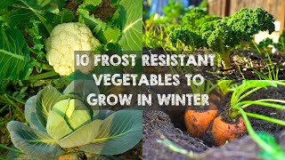 10 Frost Resistant Vegetables to Grow in Winter [upl. by Cordey583]