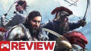 Divinity Original Sin 2 Definitive Edition Review [upl. by Matilda478]