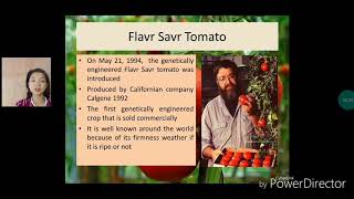 FLAVR SAVR TOMATO  GM product [upl. by Brownley]