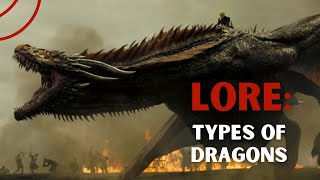 Dragons  Types and Origin of Dragons [upl. by Anirahs]