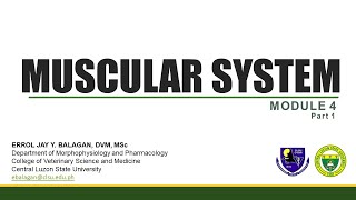 Muscular System Part 1  Introduction and Muscles of the head [upl. by Boesch]