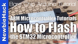 3 How to Set up the STLink v2 Programmer Tutorial for ARM Microcontrollers [upl. by Alvie]