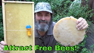 How To Attract Bees To Your Bee Box [upl. by Lecroy]