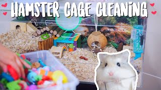 Hamster Cage Cleaning  Roborovski Hamster [upl. by Ertemed]