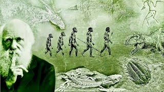 Evolution  What Darwin Never Knew  NOVA Full Documentary HD [upl. by Susi]