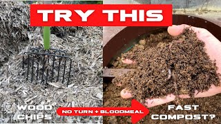 Compost Wood Chips Quickly  Add Nitrogen No Turn  TRIAL START [upl. by Aikrehs310]