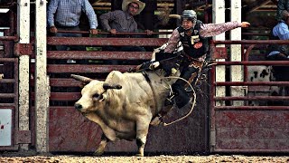 One Hell of a Ride  Bull Riding Music Video [upl. by Culver]